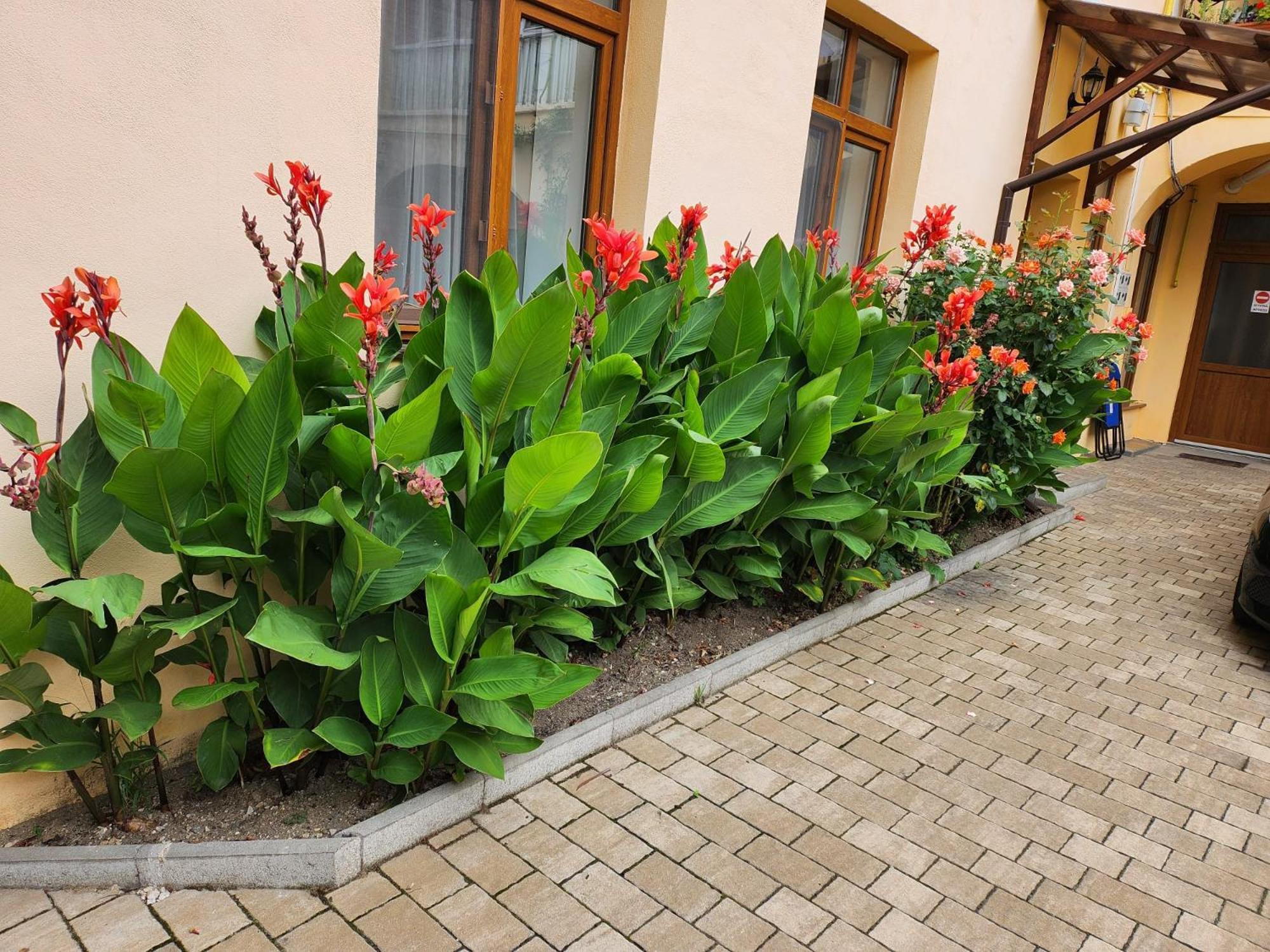 4Rooms Central Сібіу Екстер'єр фото
